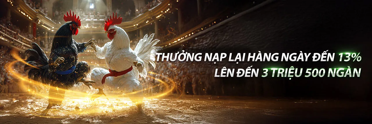 Đá Gà k9cc11 - Sân chơi đỉnh cao